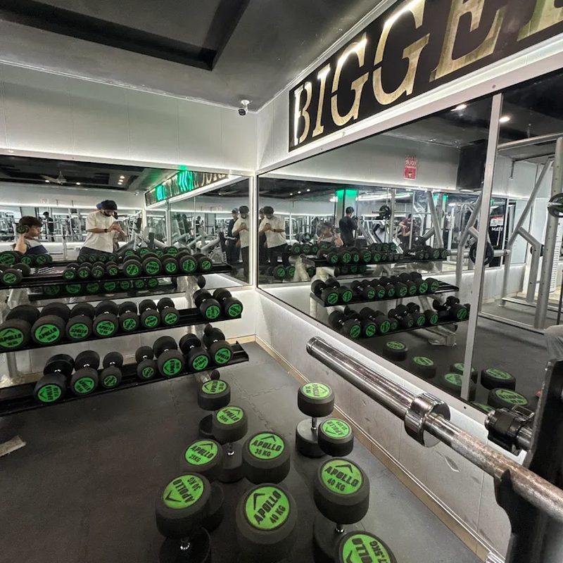 Apollo dumbbell racks